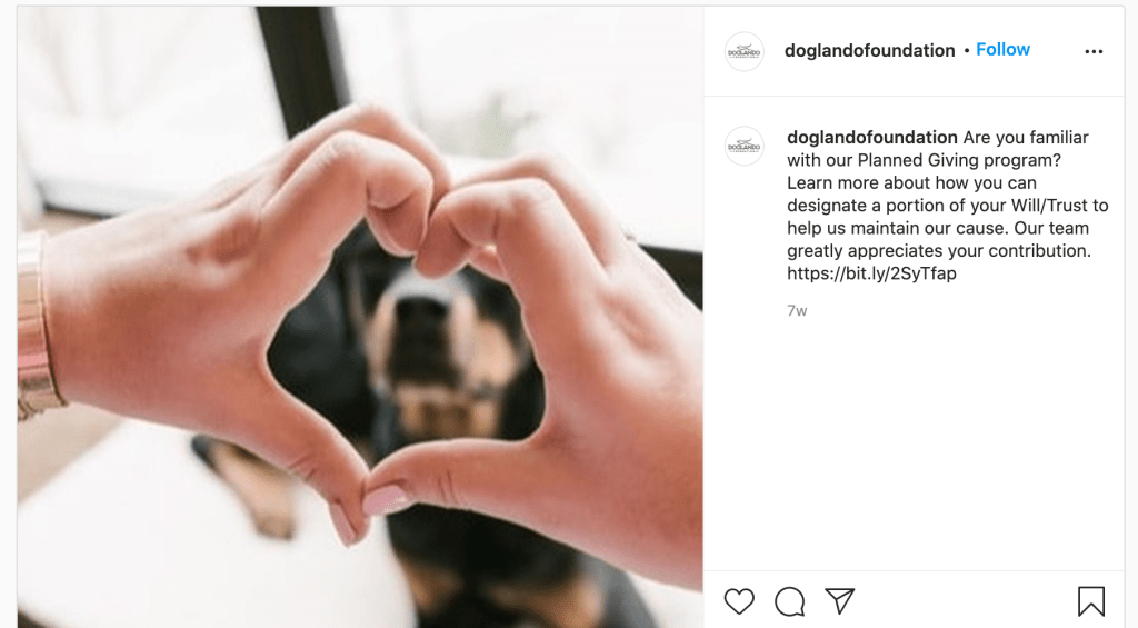 Screenshot of the Doglando Foundation Instagram