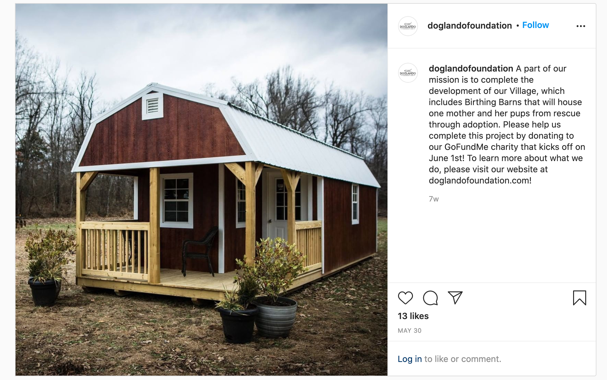 Screenshot of the Doglando Foundation Instagram