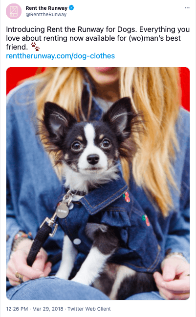 content marketing strategy example 
puppy and woman in denim clothes
